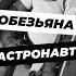 Обезьяна космонавт история научныефакты научпоп космос наука илон маск научныефакты факты