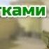 CS 1 6 Deagle из КС ГО ПЕРЧАТКИ 6