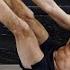 15 MIN AB SHREDDER SHREDDED ABS WORKOUT