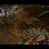HERONWATER В МИНОРЕ Shortvideo Shorts Shortscsgo