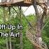 Amazing Tiny Home Treehouse Airbnb 50ft Up In The Air