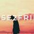 Never Sleeps Feat AfroJack Chico Rose You Got The Love D O D Extended Mix