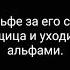 BTS мой котик 4
