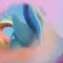 Rainbow Dash Tribute