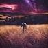Flora Cash You Re Somebody Else Alpume Remix Audio