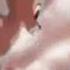 Animash Ievan Polkka Just Don T Ask