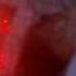 Rammstein Asche Zu Asche