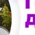 Горная дорога 5 правил безопасного вождения