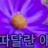 아무것도모르는여인 조덕배