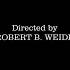 Directed By Robert B Weide REMIX