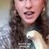 Help I Can T Stop Playing Stevie Wonder Songs Acousticcover Cover Singer Guitar Musician