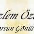 Özlem Özel Anlamıyorsun Gönül Dilinden