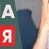 Как устроена мужская любовь Как мужчина любит и влюбляется