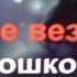 Только чёрному коту и не везёт