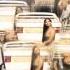 Sisley Ferre Special Love