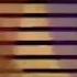 NBC News Productions 1993
