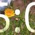 5 Minute Timer Relaxing Acoustic Guitar