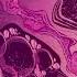 Samsung Themes Animated Wallpaper Pink Delight LIVE 9s