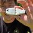 Huge Fish WILL Terrorize This LURE Bassfishing Fishing Shorts