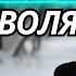AMAZING MIRAVI Воля Official Mood Video 2024 FIRST TIME UK REACTION