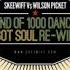 Skeewiff Vs Wilson Picket Land Of 1000 Dances I Got Soul Re Wiff