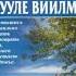 Почему мы болеем Учение Лууле Виилма СЕРИЯ рецепты здоровья Лууле Виилма Сост Б Бах Аудиокнига