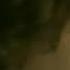 VILLE VALO FEAT NATALIA AVELON SUMMER WINE