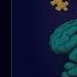 YOU ARE NOT YOUR BRAIN By Jeffrey Schwartz Audiobook Summary