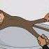 Apes Eat Monkeys Alive Monkey
