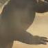 Gorilla Vs Lion Ultimate Jungle Showdown Shorts Wildlifeentertainment Animals Animalfight