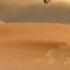 Horse In The Desert Лошадь в пустыне
