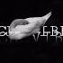 Vibekulture Sa Mcdeez Fboy Duck Vibes Offcial Audio Amapiano Exclusive Music