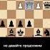 ЛОВУШКА Защита Алехина Chess шахматы ловушка