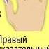 Значение Колец на правой руке