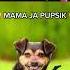 MAMA JA PUPSIK
