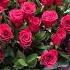 С днём рождения поздравляю для женщин Happy Birthday Congratulations For Women