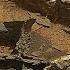 Crystalline Treasures Beneath Weathered Scars Crystal Shard Veins On Mars