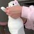 How To Trick A Cat Cat Cats