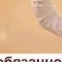 Права и обязанности жены и мужа друг перед другом Курбан Хаджи Рамазанов