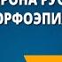 Звуковая сторона русского языка Орфоэпия
