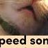 ЧеЗаУродыНаСцене Smell Like Cherry Speed Up