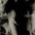 Old Before I Die Robbie Williams HQ Audio