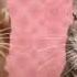 Preview 2 Numa Cat Midi Download