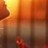 Chicane Feat Bryan Adams Don T Give Up Myon Shane 54 Summer Of Love Mix