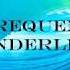 Lost Frequencies Zonderling Crazy