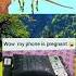 WOW My Phone Is Pregnant Memes Funny