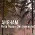 Angham Heta Naasa Instrumental