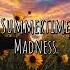Feel The Vibe Matt Large Summertime Madness