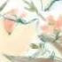 APH Born To Live