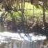 Прекрасна вешняя природа шумят и веселятся воды СЕРЕБРЯНЫЙ РУЧЕЙ